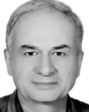 Mohsen Nemat-Gorgani