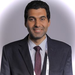 Ahmed S Abdel-Hamid