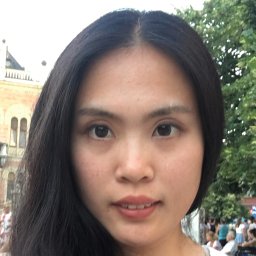 Luying Feng