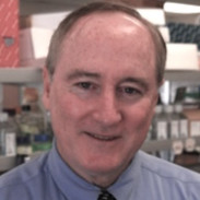 John Cashman