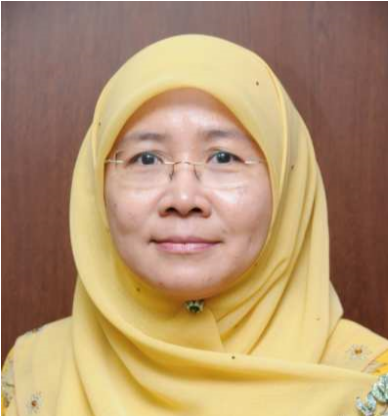Ani Idris