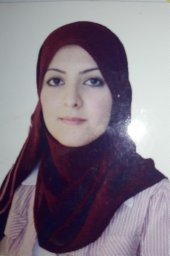 Shaimaa N. Mizil
