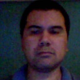 Tadeu N. Ferreira