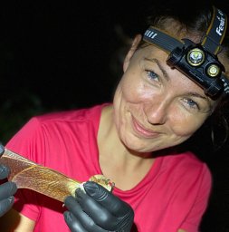 Budinski Ivana