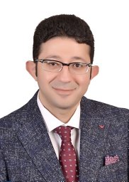 Mahmoud A. Elwasify