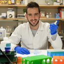 Romain Pacaud