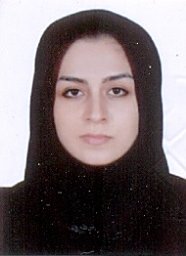 S. M. S. Mahmoudi