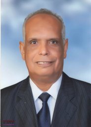 Mohamed Sadek