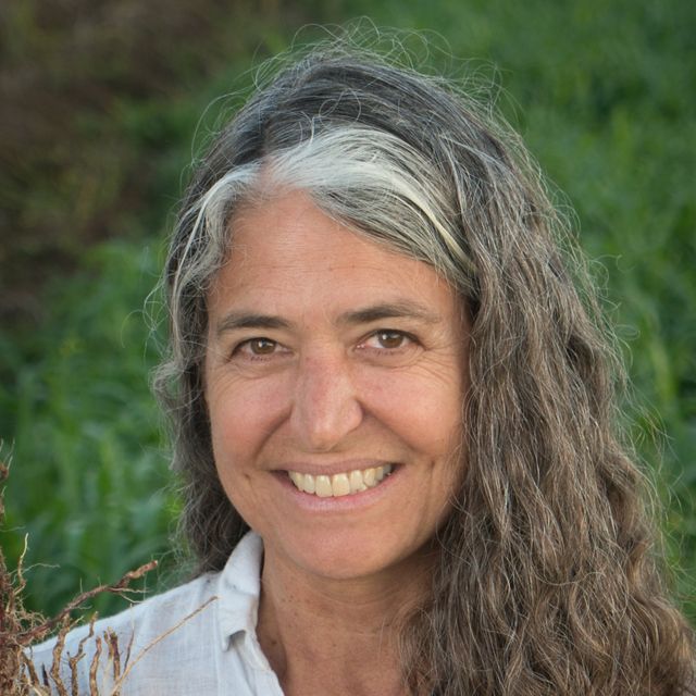 Deborah A. Bossio