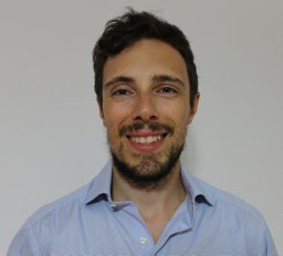 Fabio Luporini