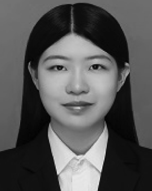 Yiran Zhu