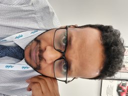 Ayman Hafiz Amer Eissa