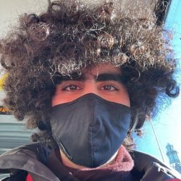 Sina Sheikholeslami