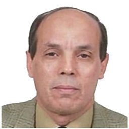 A. M. El-Gindy