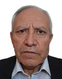 n m hosseini