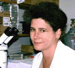 Doris Herzlinger