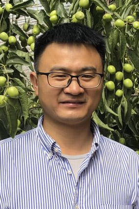 Jian Huang
