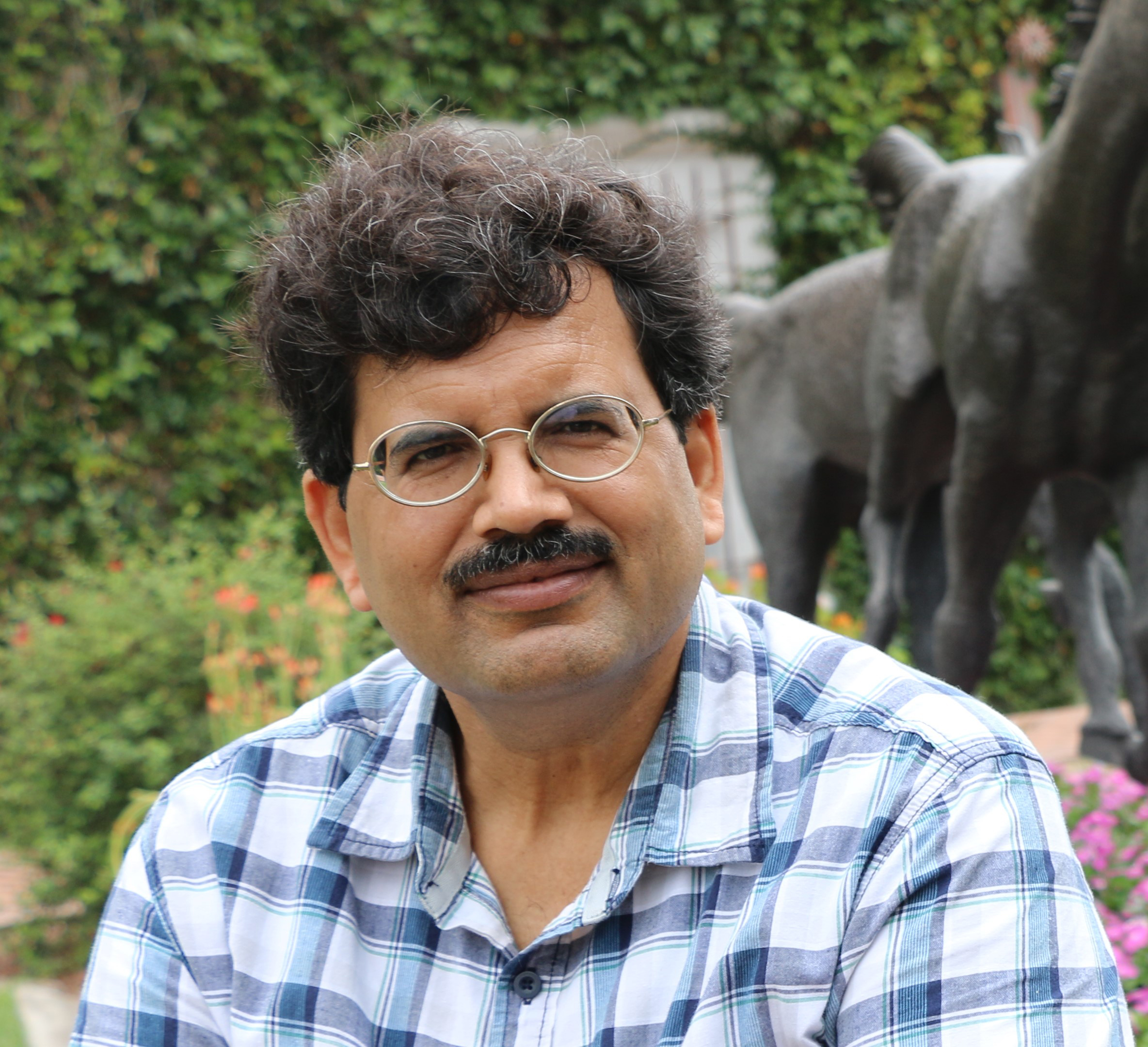 Durgesh C Rai