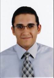 Sherif M. Ismael