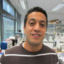 Abdellatif Bahaji