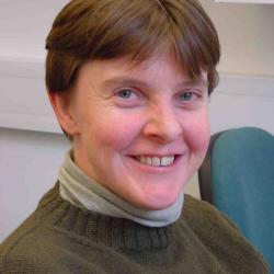 Alison M Etheridge