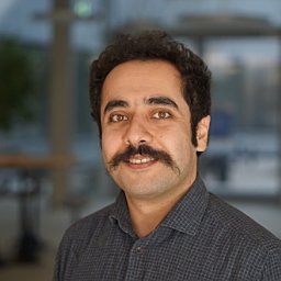 Ario Sadafi