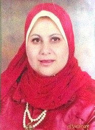 Rabab M Elseht