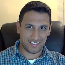 Vivek N. Mahale