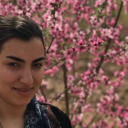 Negar Rajabi