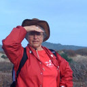 Ann Hurley