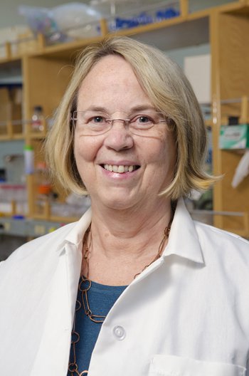 Mary B. Kennedy