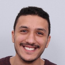Omar M. Abdeldayem