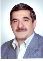 Seyednouraddin Mousavinasab