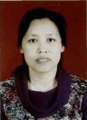 Huidi Luo
