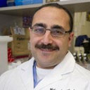 Mohamed B. Ezzelarab