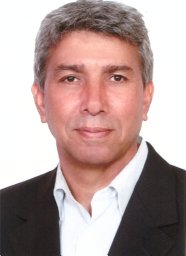 Mahmoud Raeini-Sarjaz