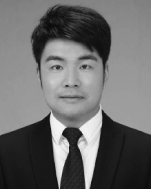 Shulin Liu