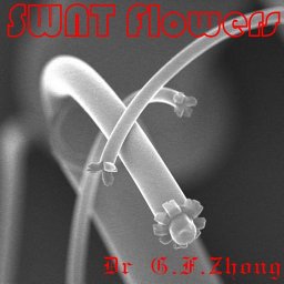 Guofang Zhong