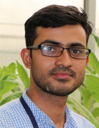 Rajesh K Jha