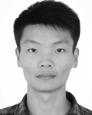 Lizheng Gu