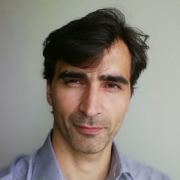 Denis Demidov