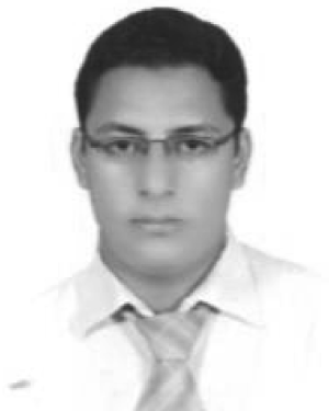 Ayman Mohamed Mostafa