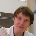 N.M. Faustova