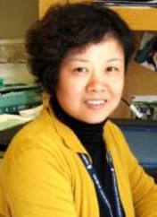 Huaqun Chen