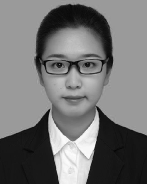 Yulei Chi