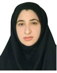 Amal Saki Malehi