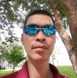 Viet Nguyen-Hoang