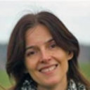 U. Scherer
