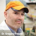 Gregory G Freund