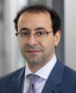 Ahmed Aboumohamed